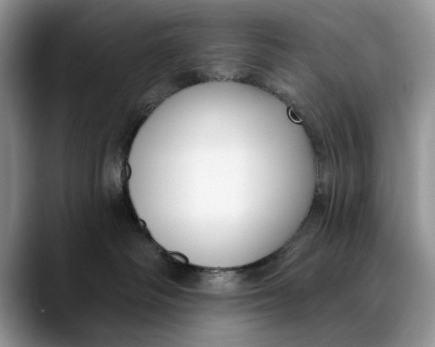 X0000089900334200707192037