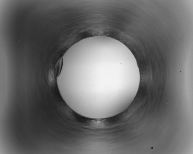 X0000089900335200707192037