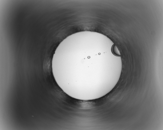 X0000089900336200707192037