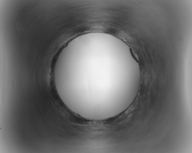 X0000089900338200707192036