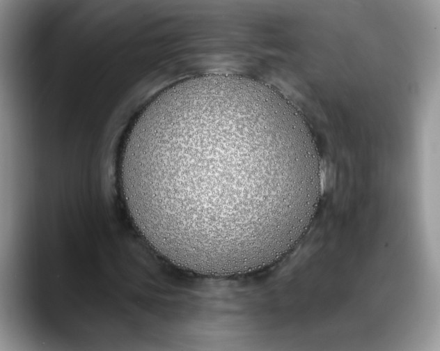 X0000089900339200707192036