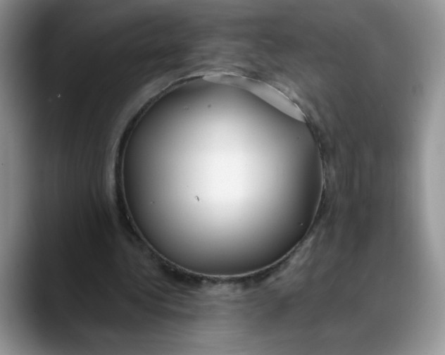 X0000089900340200707192037