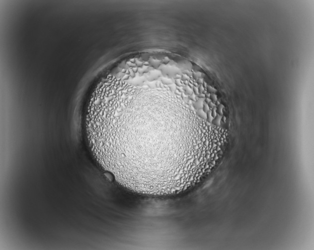 X0000089900343200707192037