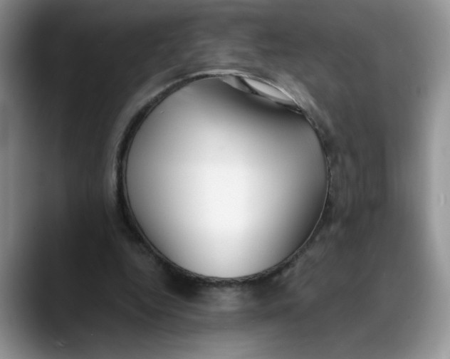 X0000089900344200707192037