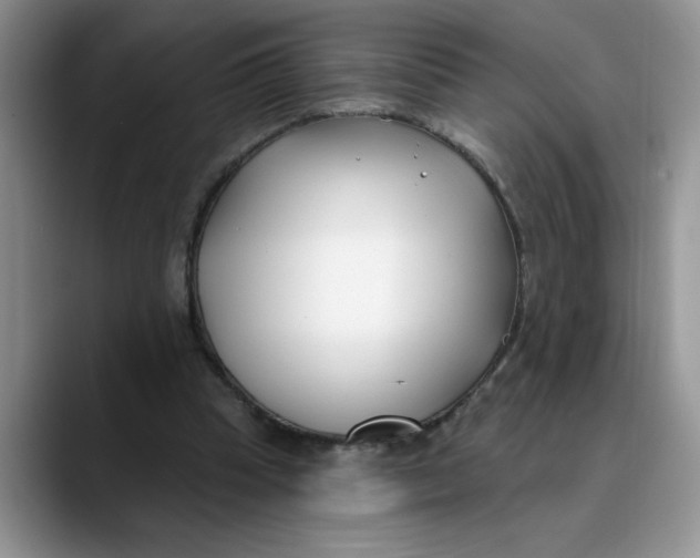 X0000089900345200707192037