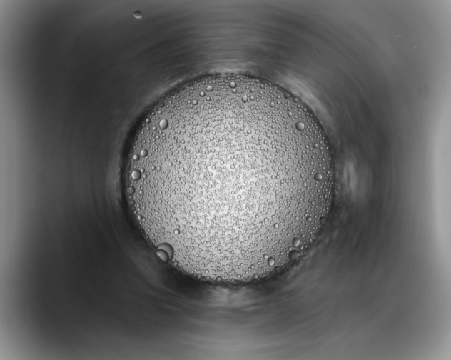 X0000089900346200707192037