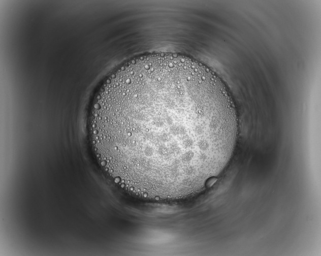 X0000089900347200707192037