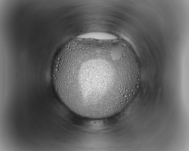 X0000089900353200707192037