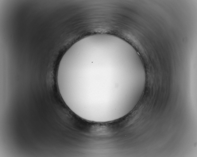 X0000089900354200707192037