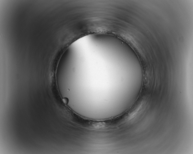 X0000089900355200707192037