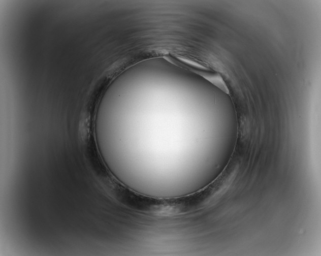 X0000089900356200707192037
