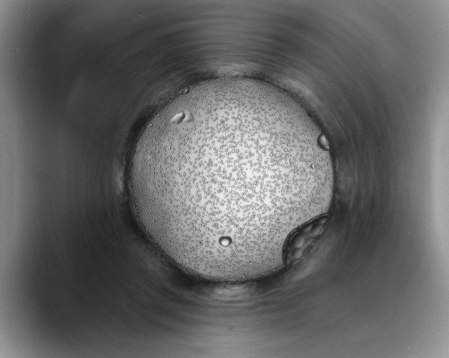 X0000089900357200707192037