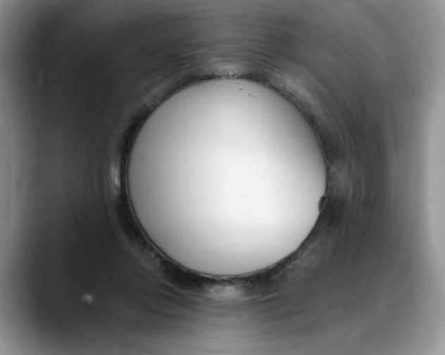 X0000089900358200707192037