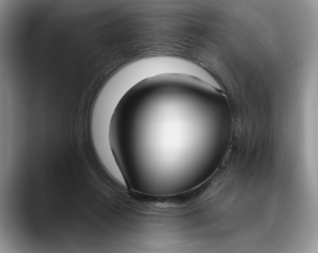 X0000089900360200707192037