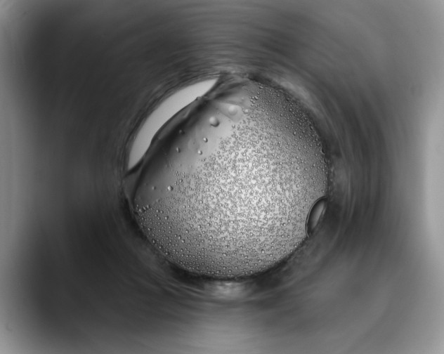 X0000089900361200707192037