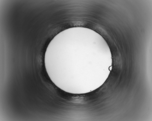 X0000089900362200707192037