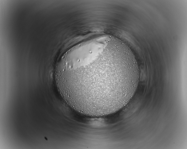 X0000089900363200707192037