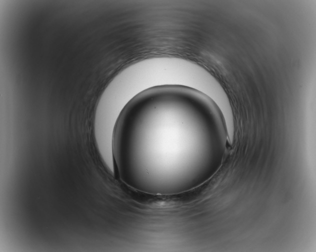 X0000089900364200707192037