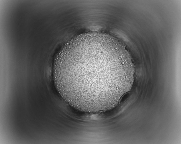 X0000089900365200707192037
