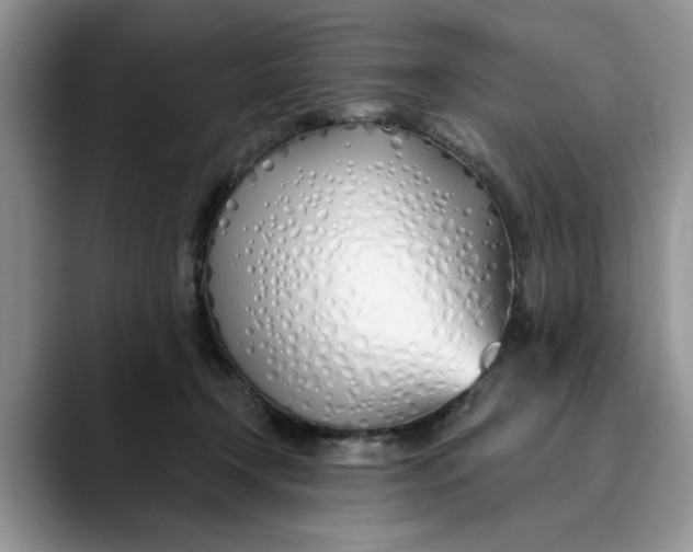 X0000089900366200707192037