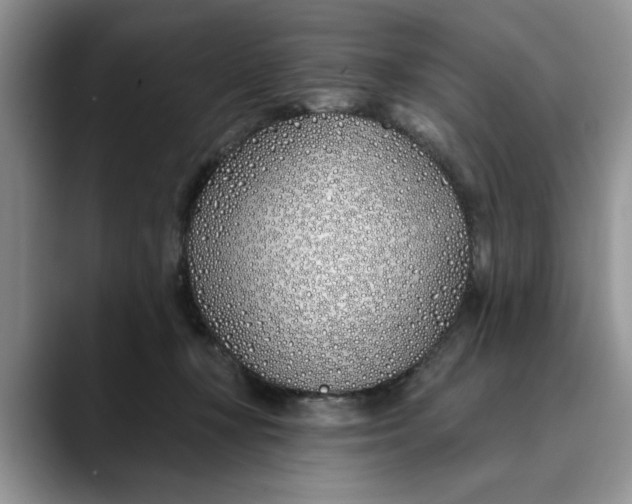 X0000089900367200707192037