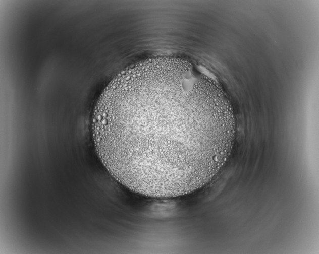 X0000089900369200707192037