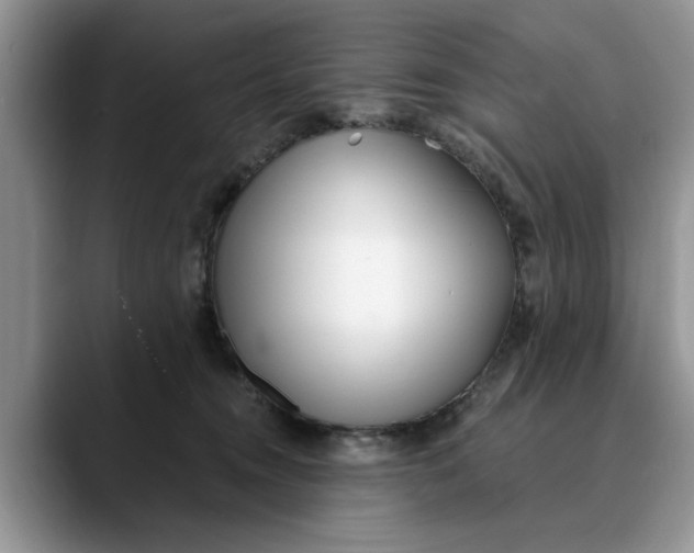 X0000089900372200707192037
