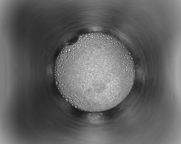 X0000089900373200707192037