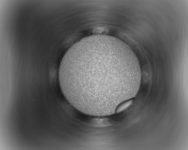 X0000089900375200707192037