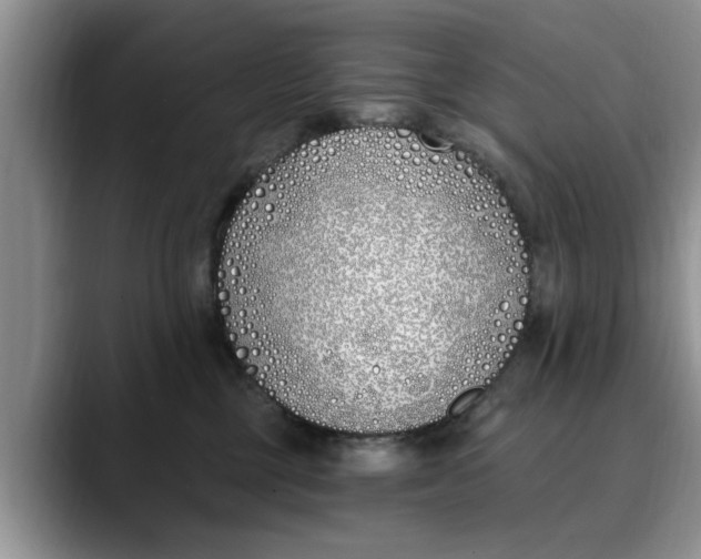 X0000089900377200707192037