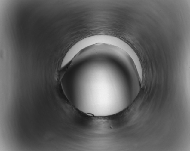 X0000089900380200707192037
