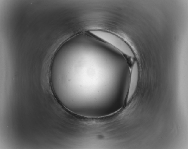 X0000089900385200707192036