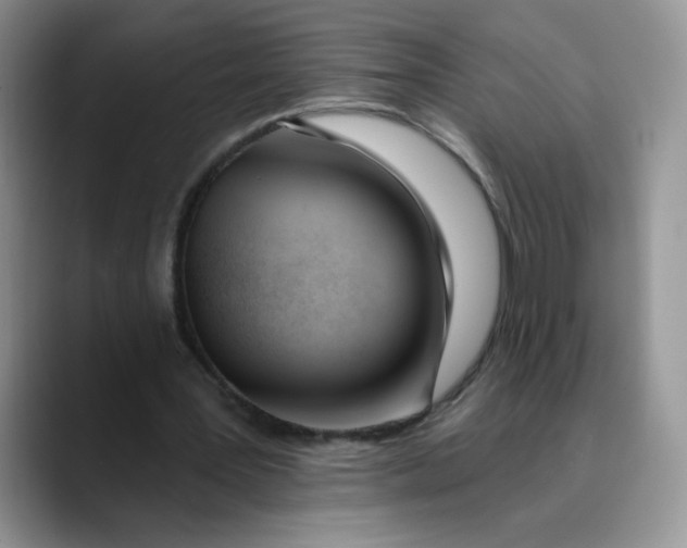 X0000089900387200707192036