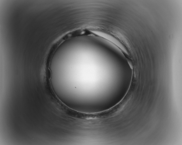 X0000089900388200707192036