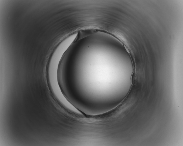 X0000089900389200707192036
