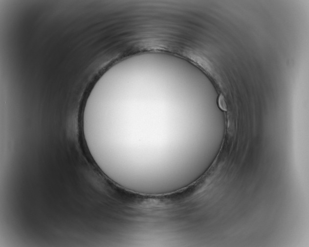 X0000089900390200707192036
