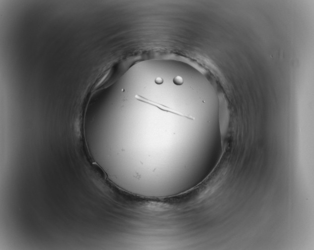 X0000089900393200707192036