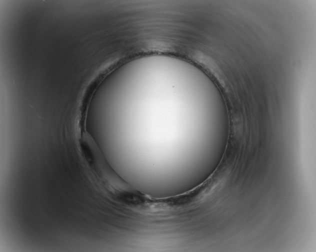 X0000089900395200707192036