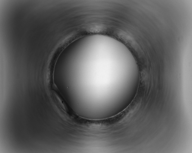 X0000089900400200707192036