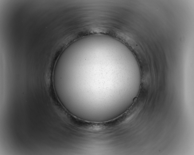 X0000089900402200707192036