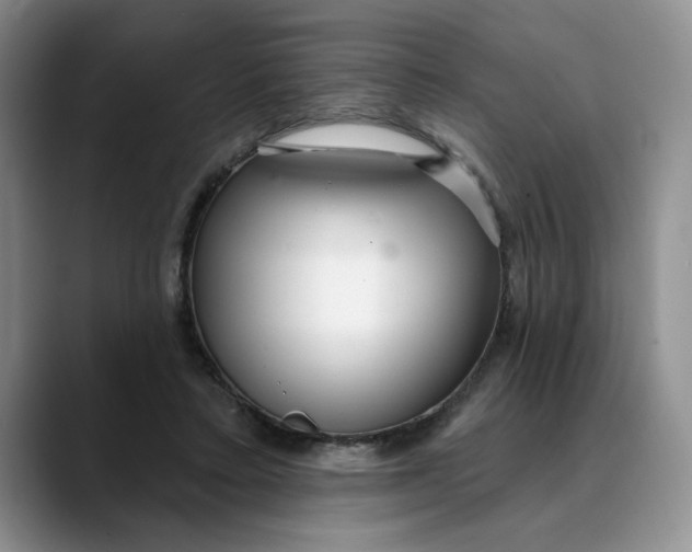 X0000089900403200707192036