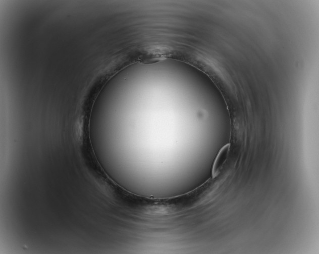 X0000089900404200707192036