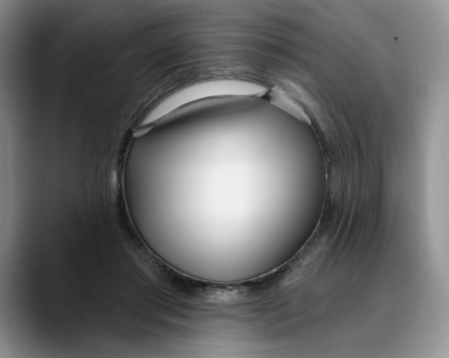 X0000089900405200707192036