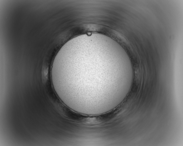 X0000089900406200707192036