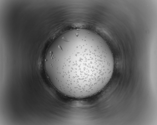X0000089900408200707192036