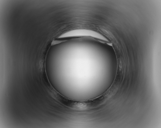X0000089900409200707192036