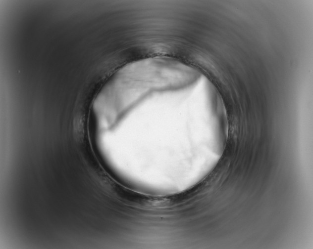 X0000089900410200707192036