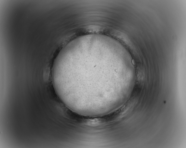 X0000089900411200707192036