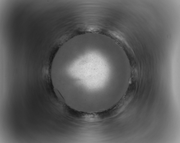 X0000089900415200707192036