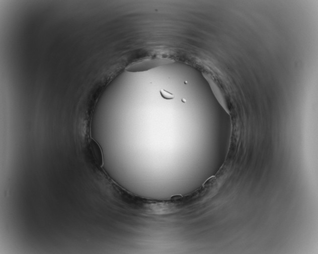 X0000089900417200707192036